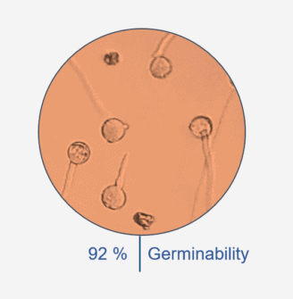 germinability