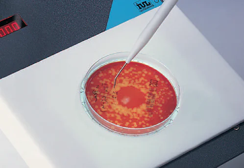 Stainless contact pointer-2