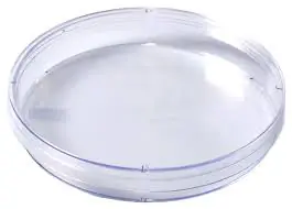 kord automation petri dish